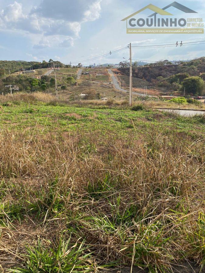 WhatsApp Image 2025-09-20 at 09.18.04.jpeg